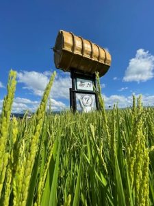 嘉六田4年8月19日