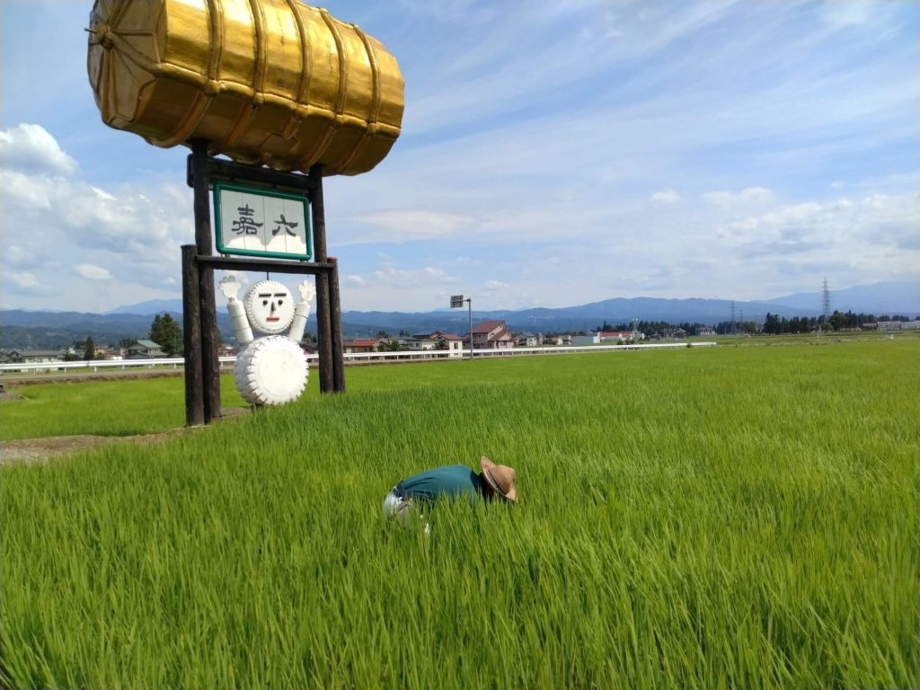 7年7月計測